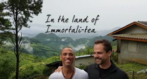 In the land of Immortali-Tea