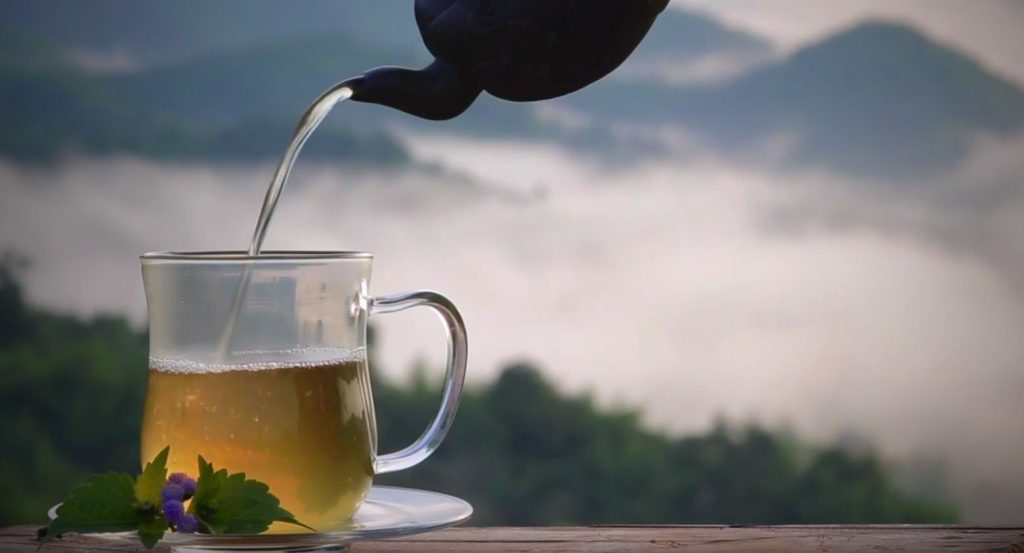 DIVINI-THE | ACCUEIL | Jiaogulan tasse infusion