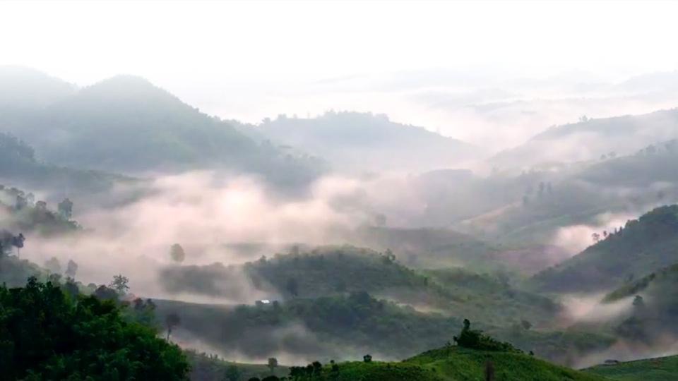 DIVINI-THE | À PROPOS DE NOUS | Paysage montagnes brumeuses