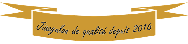 DIVINI-THE | ACCUEIL | Banderole jaune jiaogulan de qualité depuis 2016